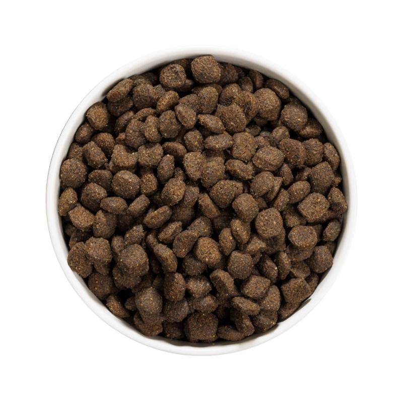 OWNAT GRAIN FREE JUST LIGHT - chien